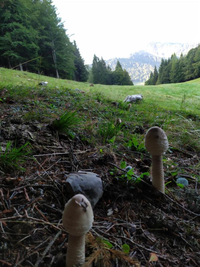 Appartamento Famiglia Brochetti Balbido-rango Esterno foto